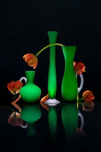 Vasi floreali luminosi da Lydia Jacobs