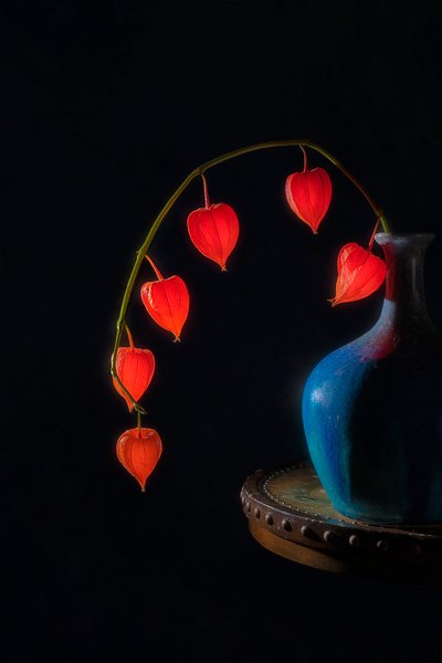 Natura morta con lanterne luminose da Lydia Jacobs