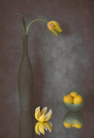 Graziosi tulipani e limoni da Lydia Jacobs