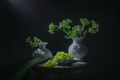 Natura morta con uva verde da Lydia Jacobs