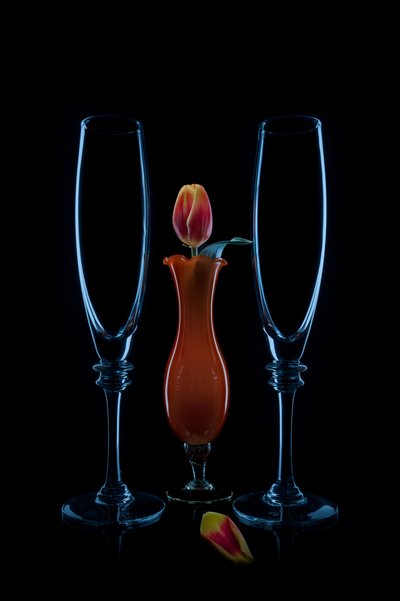 Flauti intimi a forma di tulipano da Lydia Jacobs