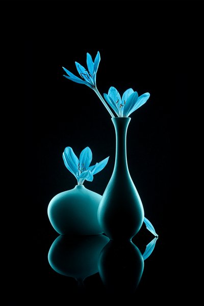Natura morta in blu luminoso da Lydia Jacobs