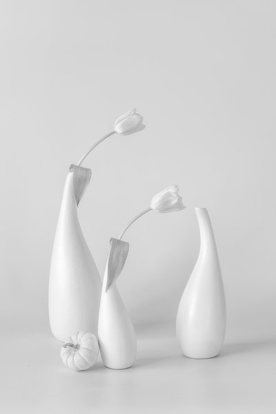 Tulipani bianchi in stile minimalista da Lydia Jacobs