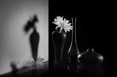 Monocromatico a doppio motivo floreale da Lydia Jacobs