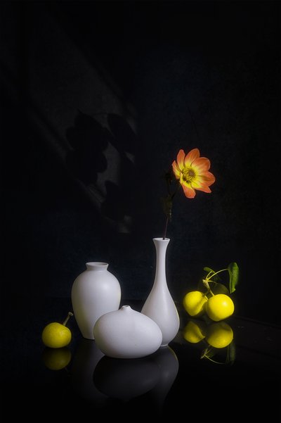 Moody: Fiori e frutta da Lydia Jacobs