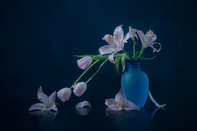 Gigli e tulipani malinconici da Lydia Jacobs