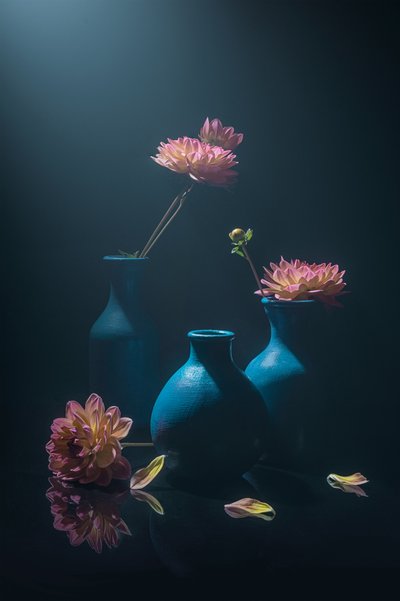 Dalie rosa tenui da Lydia Jacobs
