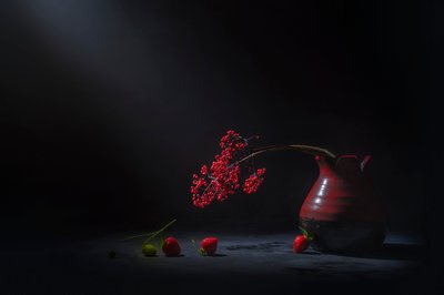 Bacche rosse malinconiche da Lydia Jacobs