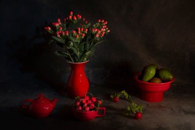 Natura morta in rosso malinconico da Lydia Jacobs