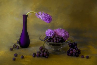 Natura morta in viola sfarzoso da Lydia Jacobs