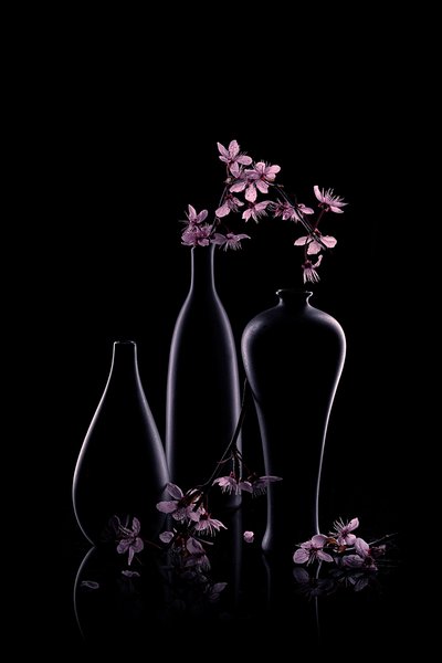 Vasi scuri con fiori rosa da Lydia Jacobs