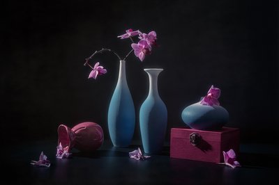 Orchidee rosa e vasi da Lydia Jacobs