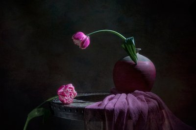 Natura morta con tulipani rosa da Lydia Jacobs