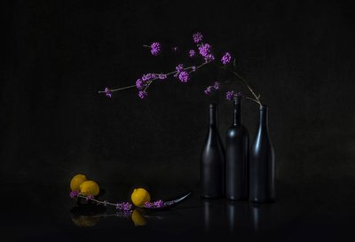 Natura morta con bacche viola scure da Lydia Jacobs