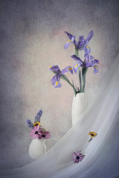 Natura morta con iris viola da Lydia Jacobs