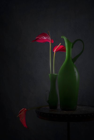 Anthurium rossi in vasi verdi da Lydia Jacobs
