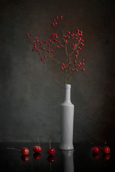 Natura morta con bacche rosse da Lydia Jacobs