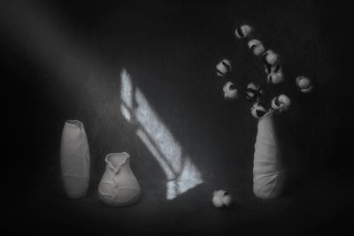 Natura morta serena in cotone da Lydia Jacobs