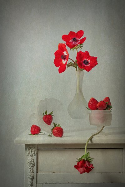 Fiori primaverili e bacche da Lydia Jacobs