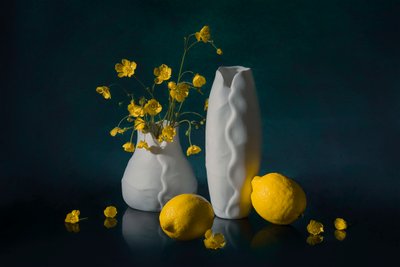 Viva natura floreale dai colori vivaci da Lydia Jacobs