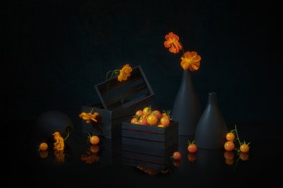 Natura morta “Raccolto dai colori vivaci” da Lydia Jacobs