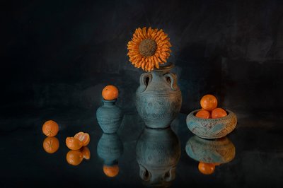 Mandarini "Girasole" dai colori vivaci da Lydia Jacobs