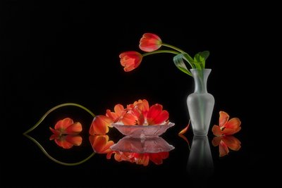 Natura morta con tulipani dai colori vivaci da Lydia Jacobs