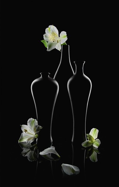 Fiori bianchi, vasi scuri da Lydia Jacobs