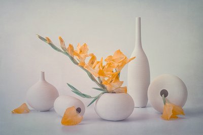 Fiori gialli in vasi bianchi da Lydia Jacobs