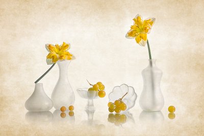 Narcisi gialli e uva da Lydia Jacobs