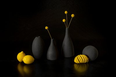 Limoni gialli, vasi neri da Lydia Jacobs