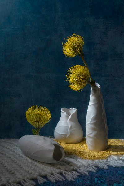 Natura morta con protea gialla da Lydia Jacobs