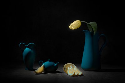 Tulipano giallo e natura morta blu da Lydia Jacobs