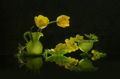 Tulipani gialli e uva verde da Lydia Jacobs