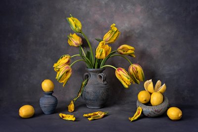 Tulipani gialli e limoni da Lydia Jacobs