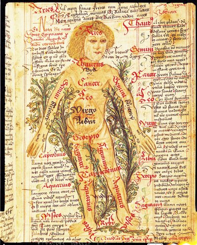 Influenza delle stelle sulle malattie del corpo umano, da Tractatus de Pestilencia da M, Albik
