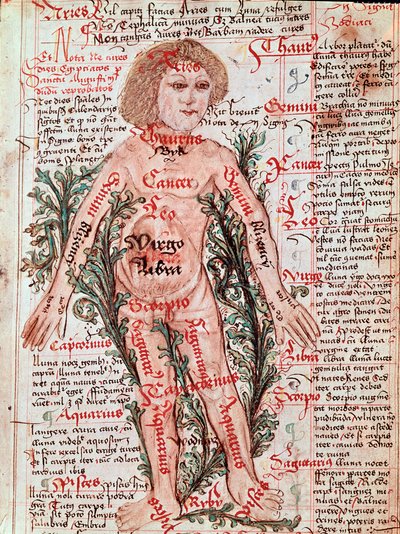 Medicina: influenza dello zodiaco sulle malattie umane (miniatura) da M Albik