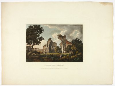 Tempio di Venere e Cupido, lastra dodici dalle Rovine di Roma da M. Dubourg