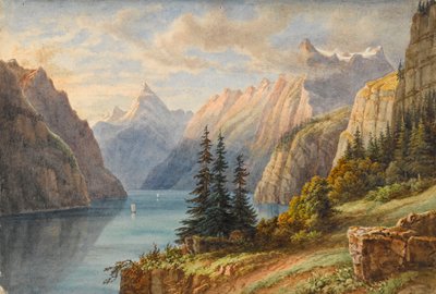 Vista del Rutli da M. Nicolas Karth