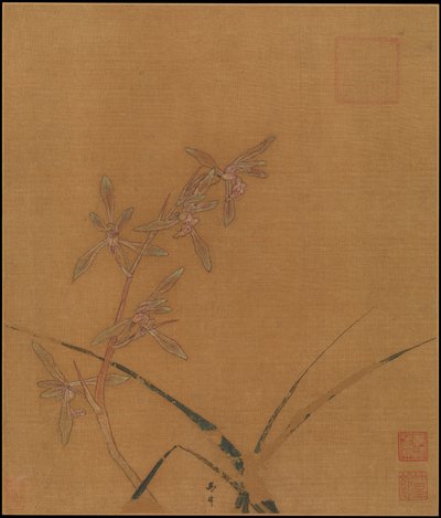 Orchidee, secondo quarto del XIII secolo da Ma Lin