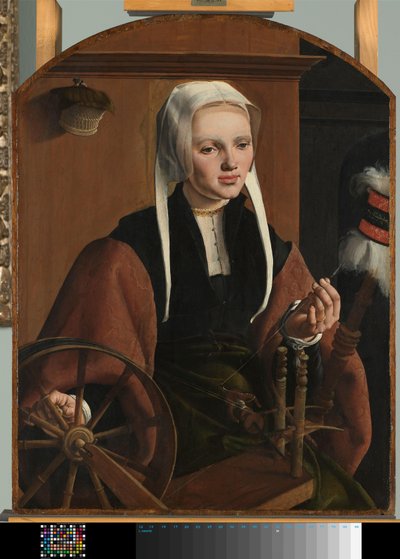 Ritratto di una donna, possibilmente Anne Codde da Maarten van Heemskerck