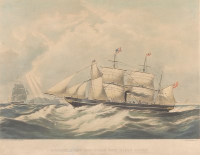 Nave a vapore 