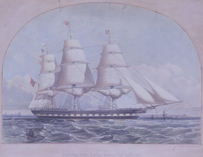 Clipper 