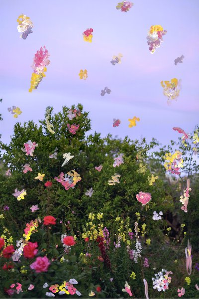 Fiori astratti da Madeleine Gross