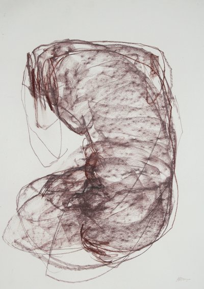 Torso 5, 2022 (carboncino su carta) da Madgalena Morey