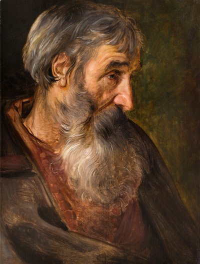 La testa di un vecchio barbuto da Maerten Vos de