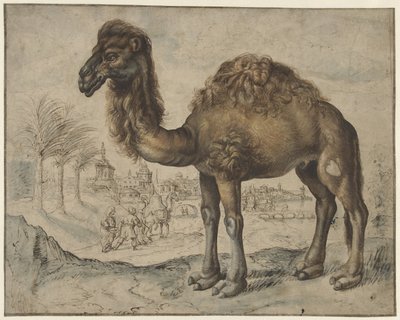 Dromedario in un paesaggio orientale con una città da Maerten de Vos