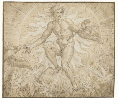 Ignis (serie: Quattro elementi) da Maerten de Vos