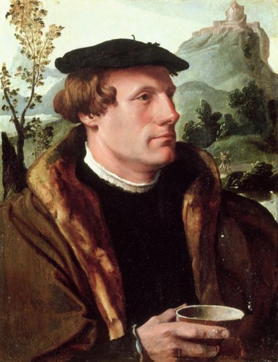 Ritratto di un gentiluomo da Maerten van Heemskerck