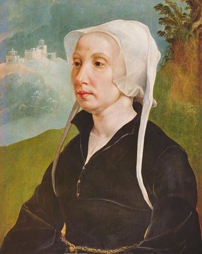 Ritratto di una donna da Maerten van Heemskerck